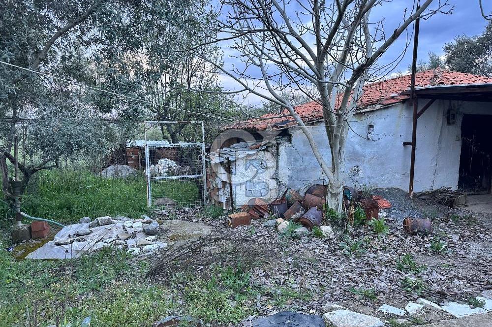 Muğla Yatağan Bozarmut Mahallesinde Satılık Kagir Ev ve Tarla
