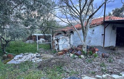 Muğla Yatağan Bozarmut Mahallesinde Satılık Kagir Ev ve Tarla