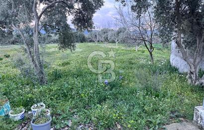 Muğla Yatağan Bozarmut Mahallesinde Satılık Kagir Ev ve Tarla