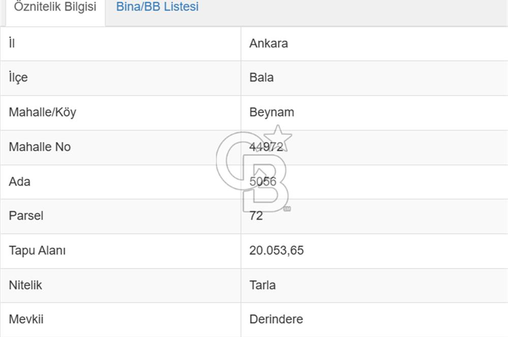 ANKARA BALA'DA YATIRIMLIK SATILIK TARLA (DERİNDERE)