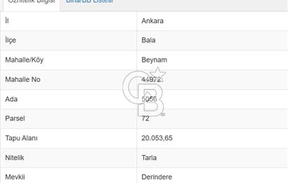 ANKARA BALA'DA YATIRIMLIK SATILIK TARLA (DERİNDERE)