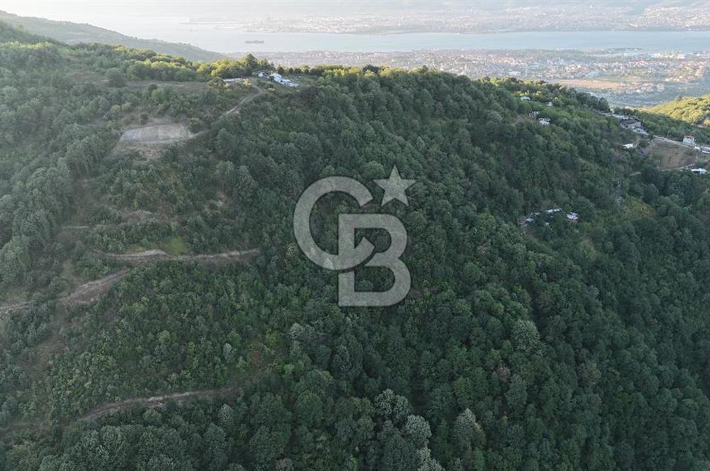 CB Elexus | Sivritepe'de 14.360m2 %5 imarlı Tarla
