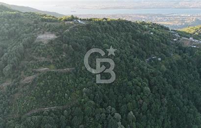 CB Elexus | Sivritepe'de 14.360m2 %5 imarlı Tarla