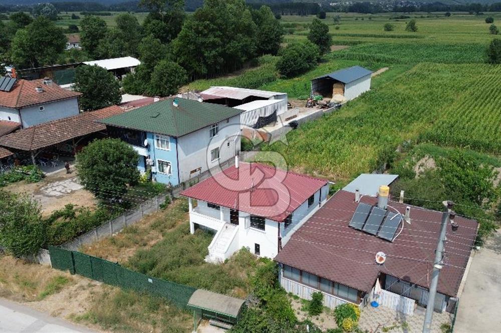 DOĞAYLA İÇ İÇE,HUZURLU BİR YAŞAM ARAYANLARA ÖZEL FIRSAT!
