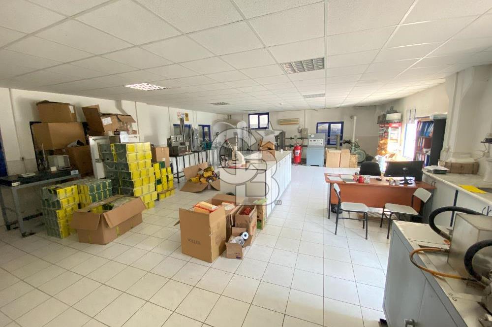 Kemalpaşa OSB'de 10.000 m' Arsa İçinde 8250 m2 Satılık Fabrika 