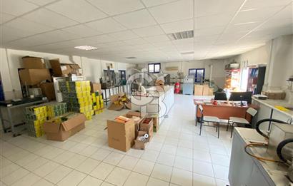 Kemalpaşa OSB'de 10.000 m' Arsa İçinde 8250 m2 Satılık Fabrika 