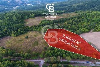 CB Elexus | İrşadiye'de Eğimsiz Altyapılı 9.400m2 Tarla