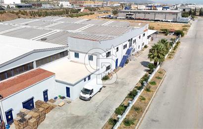 Kemalpaşa OSB'de 10.000 m' Arsa İçinde 8250 m2 Satılık Fabrika 