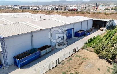 Kemalpaşa OSB'de 10.000 m' Arsa İçinde 8250 m2 Satılık Fabrika 