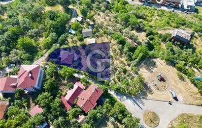 CB Elexus| D.dere Panaromik Deniz Manzaralı Kat Karşılığı
