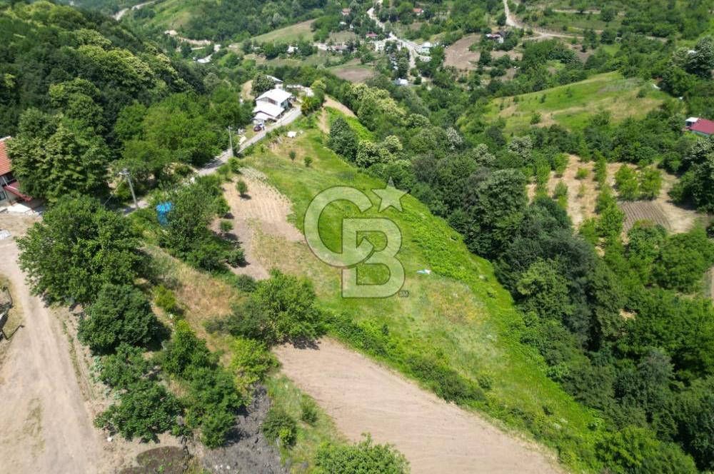 envoydan başiskele camidüzü 4595 m2 tarla