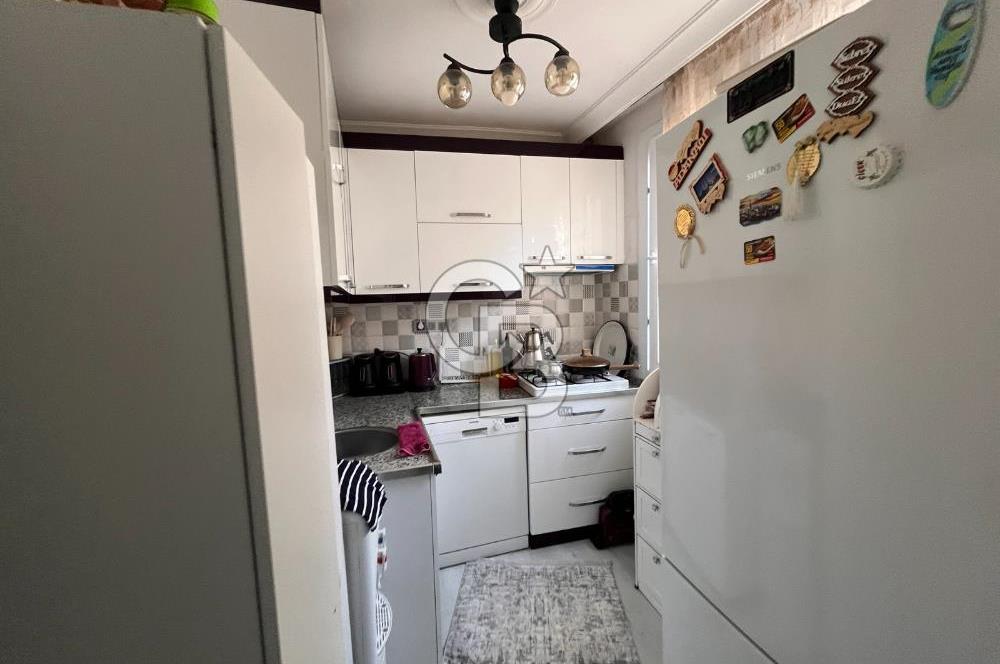 arsa ve 2 katlı bina