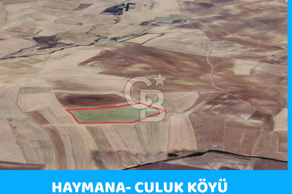 HAYMANA CULUK KÖYÜ 81 DÖNÜM TEK TAPULU TARLA