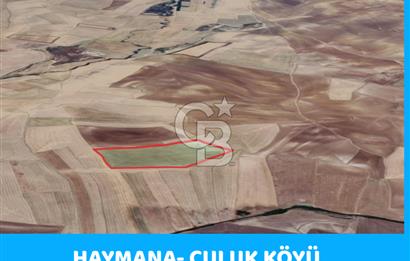 HAYMANA CULUK KÖYÜ 81 DÖNÜM TEK TAPULU TARLA