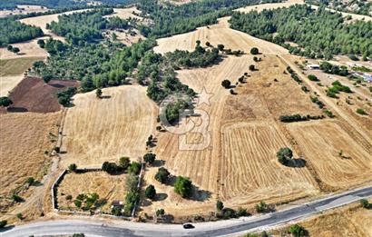 CB OPİA'DAN YEŞİL KARAAĞAÇ'TA EMSALSİZ DOĞAL YAŞAM ALANI