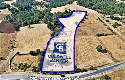 CB OPİA'DAN YEŞİL KARAAĞAÇ'TA EMSALSİZ DOĞAL YAŞAM ALANI
