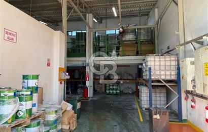 CB KOBİ'den Tuzla Deri Sanayi Satılık 850 m2 Atölye Dükkan 