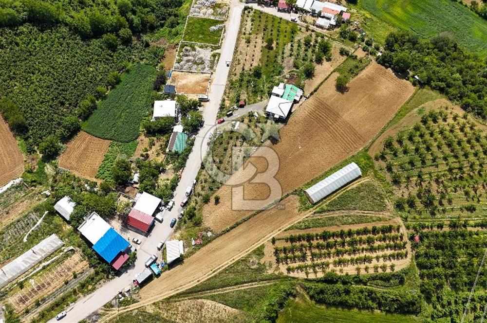 KOCAELİ İZMİT KABAOĞLU SATILIK FIRSAT MERKEZİ LOKASYONDA TARLA