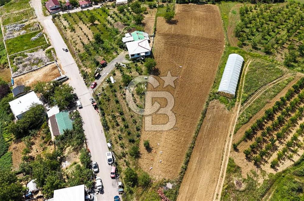 KOCAELİ İZMİT KABAOĞLU SATILIK FIRSAT MERKEZİ LOKASYONDA TARLA