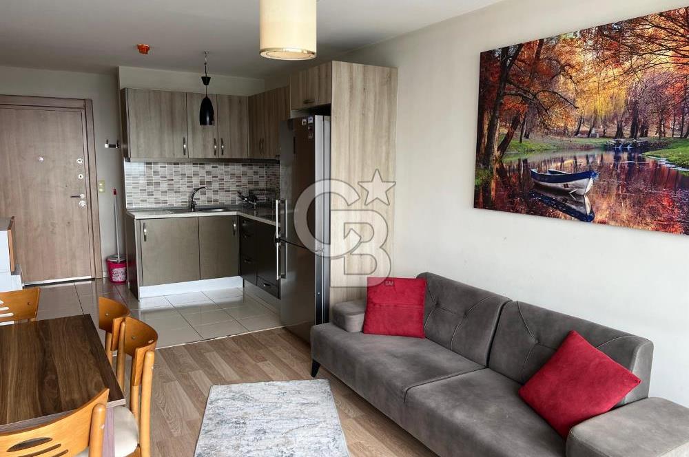 Kurtköy Yenişehir Mvk Work Square Kiralık Eşyalı 1+1 Daire