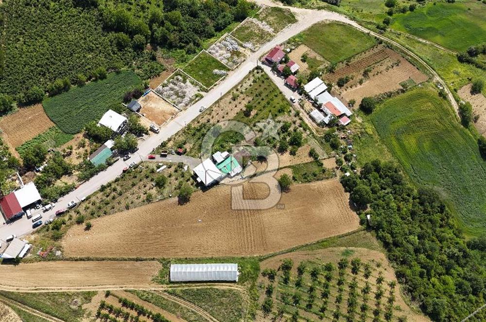 KOCAELİ İZMİT KABAOĞLU SATILIK FIRSAT MERKEZİ LOKASYONDA TARLA