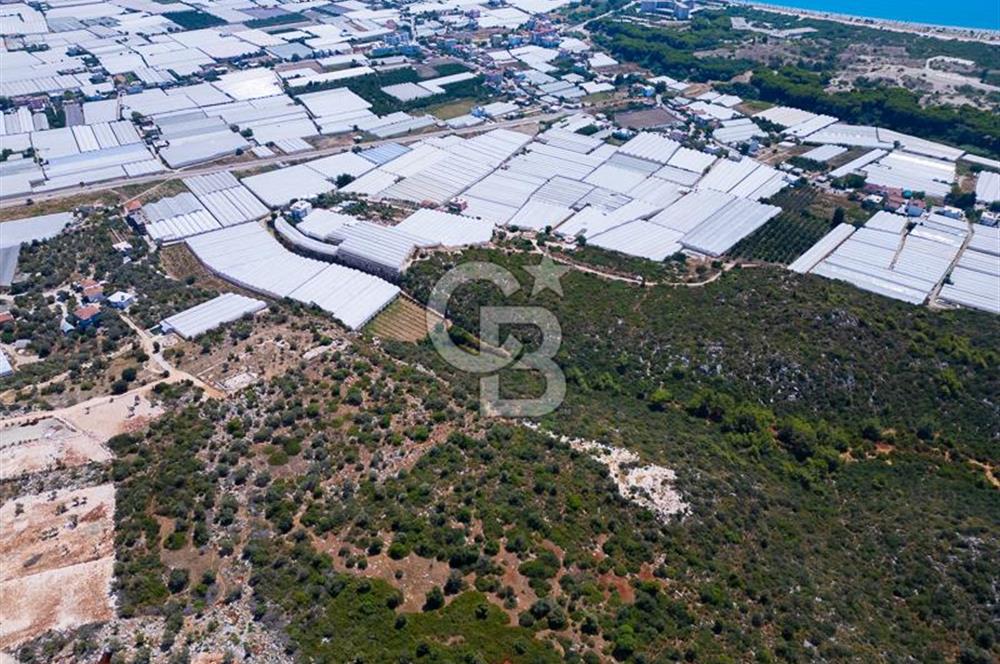 CB ARDENDEN ANTALYA DEMRE BÜYÜKKUMDA 2656 M2 SATILIK TARLA
