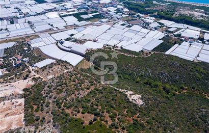 CB ARDENDEN ANTALYA DEMRE BÜYÜKKUMDA 2656 M2 SATILIK TARLA