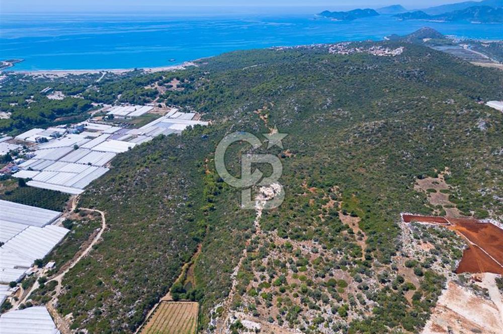 CB ARDENDEN ANTALYA DEMRE BÜYÜKKUMDA 2656 M2 SATILIK TARLA