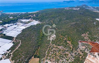 CB ARDENDEN ANTALYA DEMRE BÜYÜKKUMDA 2656 M2 SATILIK TARLA