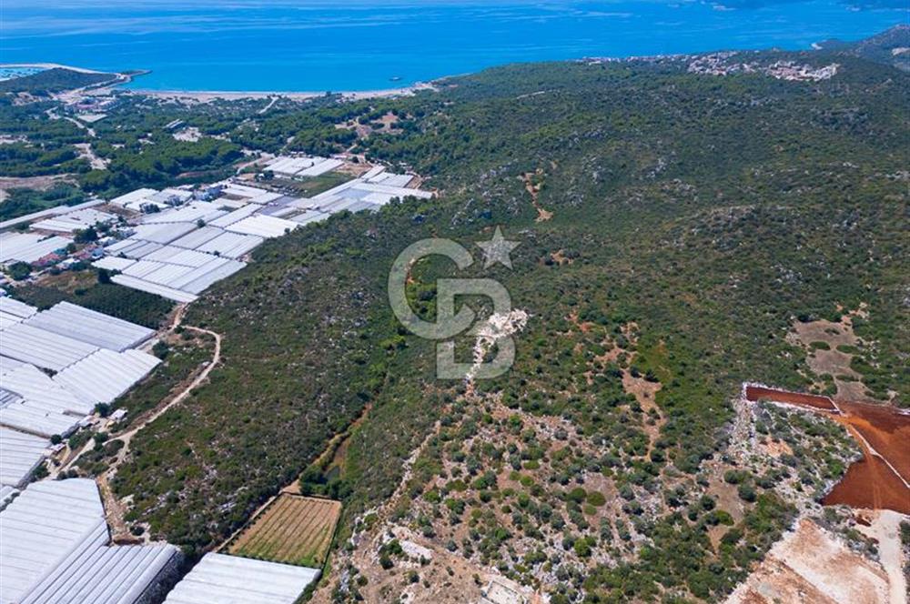 CB ARDENDEN ANTALYA DEMRE BÜYÜKKUMDA 2656 M2 SATILIK TARLA