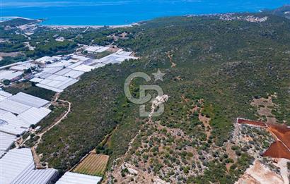 CB ARDENDEN ANTALYA DEMRE BÜYÜKKUMDA 2656 M2 SATILIK TARLA