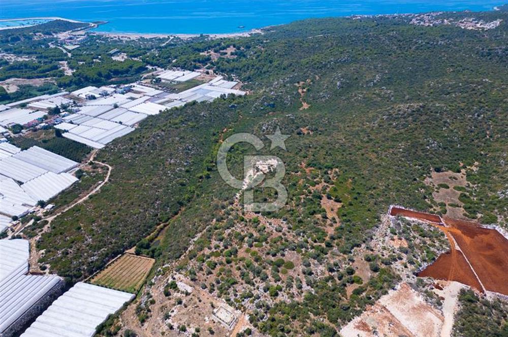 CB ARDENDEN ANTALYA DEMRE BÜYÜKKUMDA 2656 M2 SATILIK TARLA