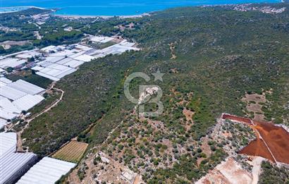 CB ARDENDEN ANTALYA DEMRE BÜYÜKKUMDA 2656 M2 SATILIK TARLA