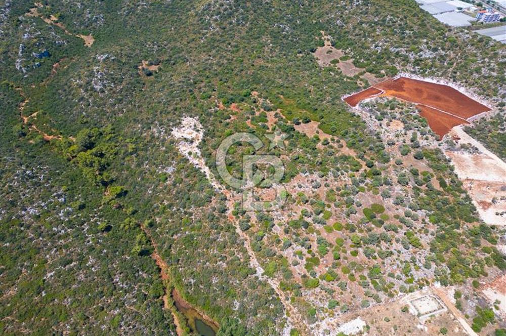 CB ARDENDEN ANTALYA DEMRE BÜYÜKKUMDA 2656 M2 SATILIK TARLA