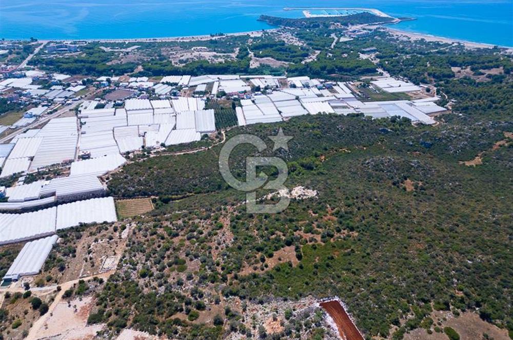 CB ARDENDEN ANTALYA DEMRE BÜYÜKKUMDA 2656 M2 SATILIK TARLA