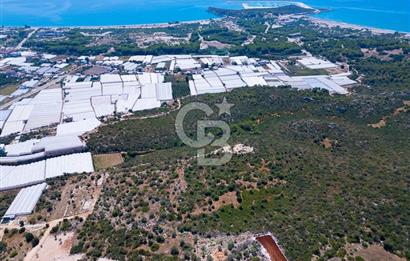 CB ARDENDEN ANTALYA DEMRE BÜYÜKKUMDA 2656 M2 SATILIK TARLA