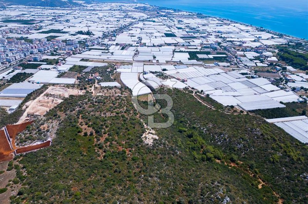 CB ARDENDEN ANTALYA DEMRE BÜYÜKKUMDA 2656 M2 SATILIK TARLA
