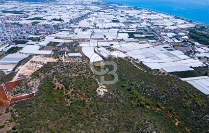 CB ARDENDEN ANTALYA DEMRE BÜYÜKKUMDA 2656 M2 SATILIK TARLA