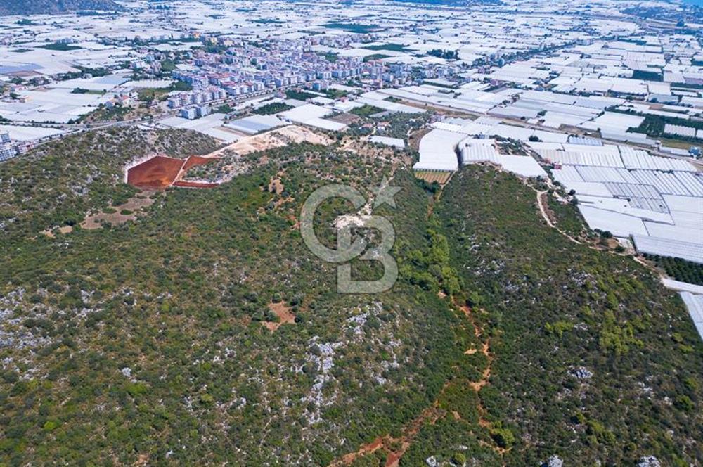 CB ARDENDEN ANTALYA DEMRE BÜYÜKKUMDA 2656 M2 SATILIK TARLA