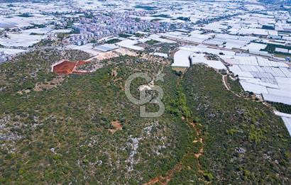 CB ARDENDEN ANTALYA DEMRE BÜYÜKKUMDA 2656 M2 SATILIK TARLA