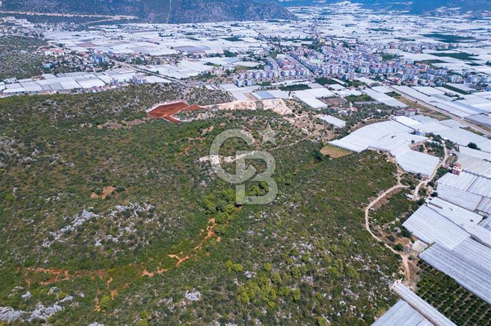 CB ARDENDEN ANTALYA DEMRE BÜYÜKKUMDA 2656 M2 SATILIK TARLA