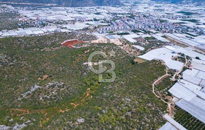 CB ARDENDEN ANTALYA DEMRE BÜYÜKKUMDA 2656 M2 SATILIK TARLA