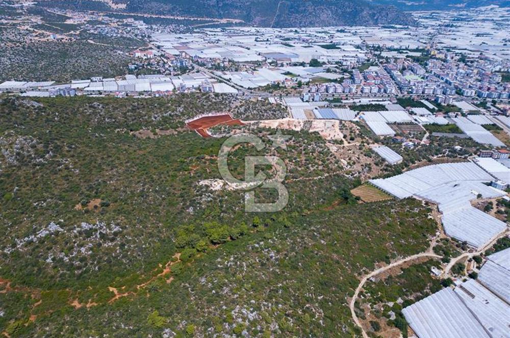 CB ARDENDEN ANTALYA DEMRE BÜYÜKKUMDA 2656 M2 SATILIK TARLA