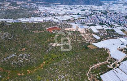 CB ARDENDEN ANTALYA DEMRE BÜYÜKKUMDA 2656 M2 SATILIK TARLA