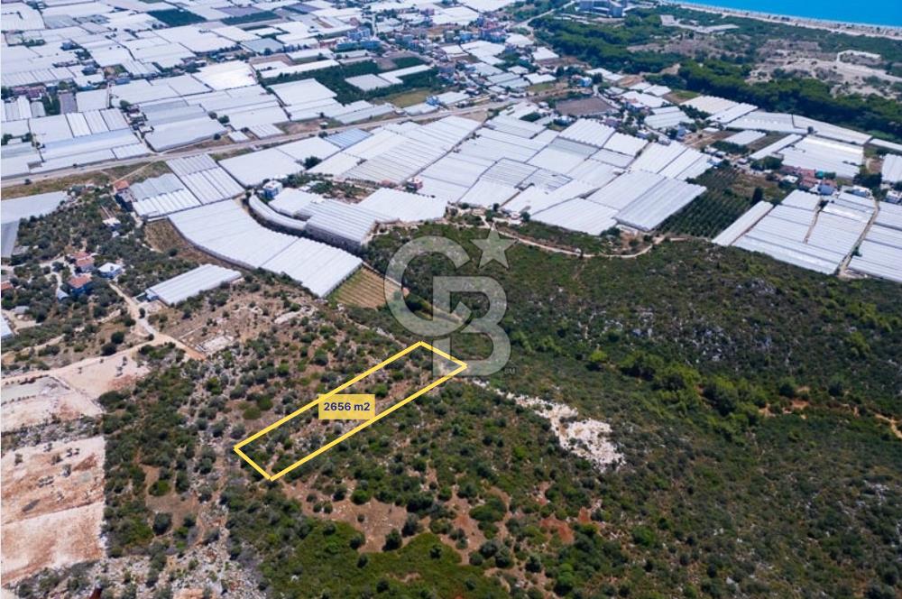 CB ARDENDEN ANTALYA DEMRE BÜYÜKKUMDA 2656 M2 SATILIK TARLA