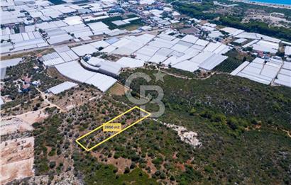 CB ARDENDEN ANTALYA DEMRE BÜYÜKKUMDA 2656 M2 SATILIK TARLA
