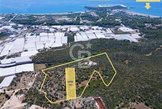 CB ARDENDEN ANTALYA DEMRE BÜYÜKKUMDA 2656 M2 SATILIK TARLA