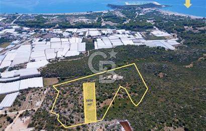 CB ARDENDEN ANTALYA DEMRE BÜYÜKKUMDA 2656 M2 SATILIK TARLA
