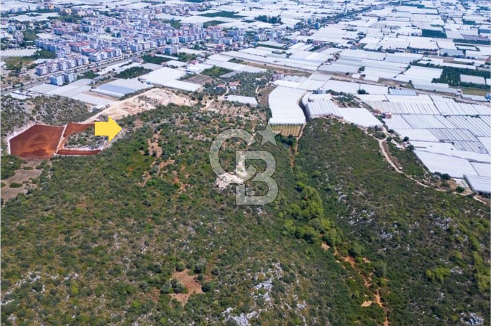 CB ARDENDEN ANTALYA DEMRE BÜYÜKKUMDA 2656 M2 SATILIK TARLA