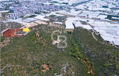 CB ARDENDEN ANTALYA DEMRE BÜYÜKKUMDA 2656 M2 SATILIK TARLA